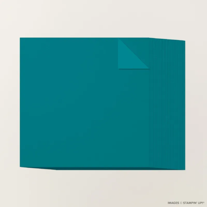 Pretty Peacock 12" x 12" Two-Tone Cardstock