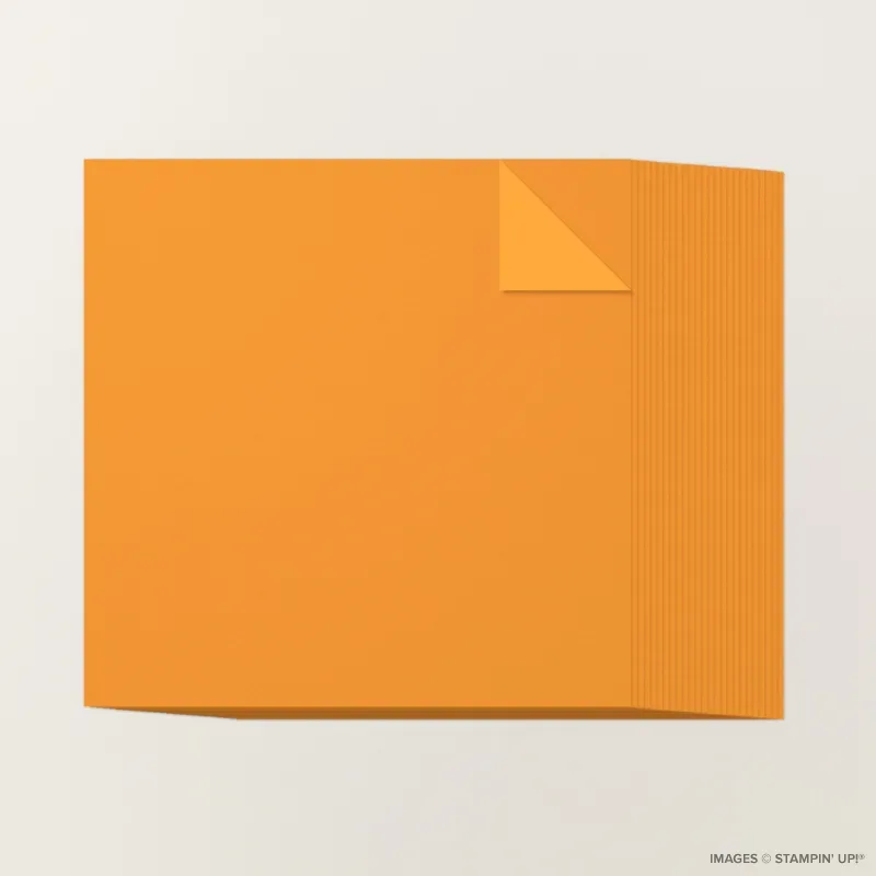 Pumpkin Pie 12" x 12" Two-Tone Cardstock