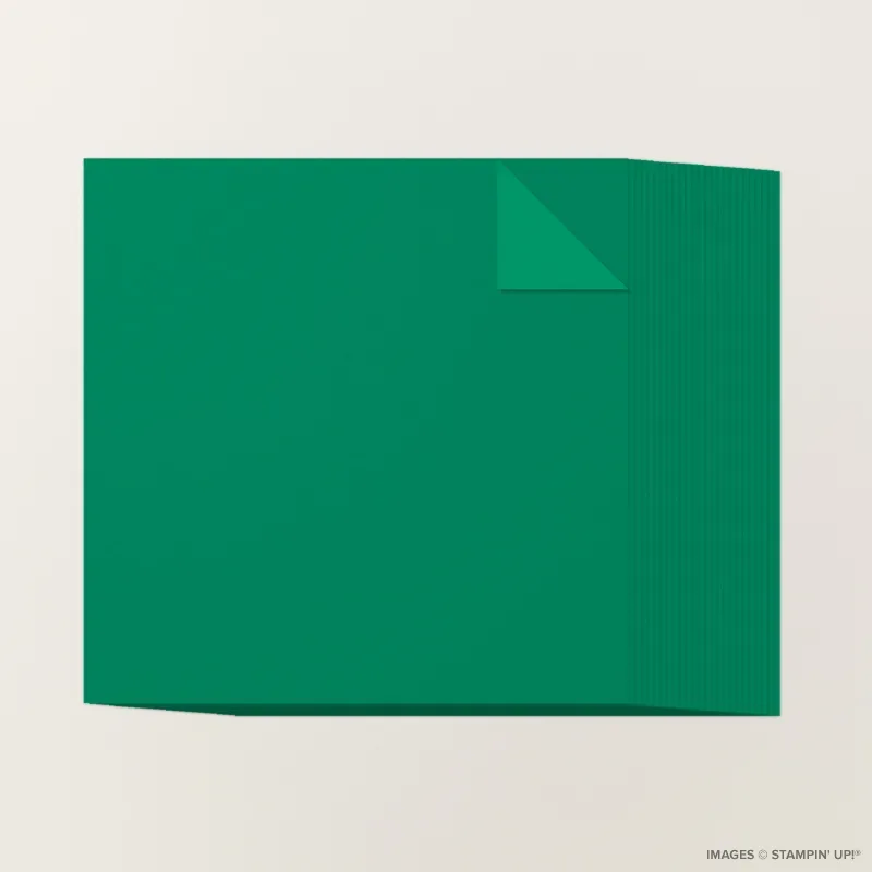 Shaded Spruce 12" x 12" Two-Tone Cardstock