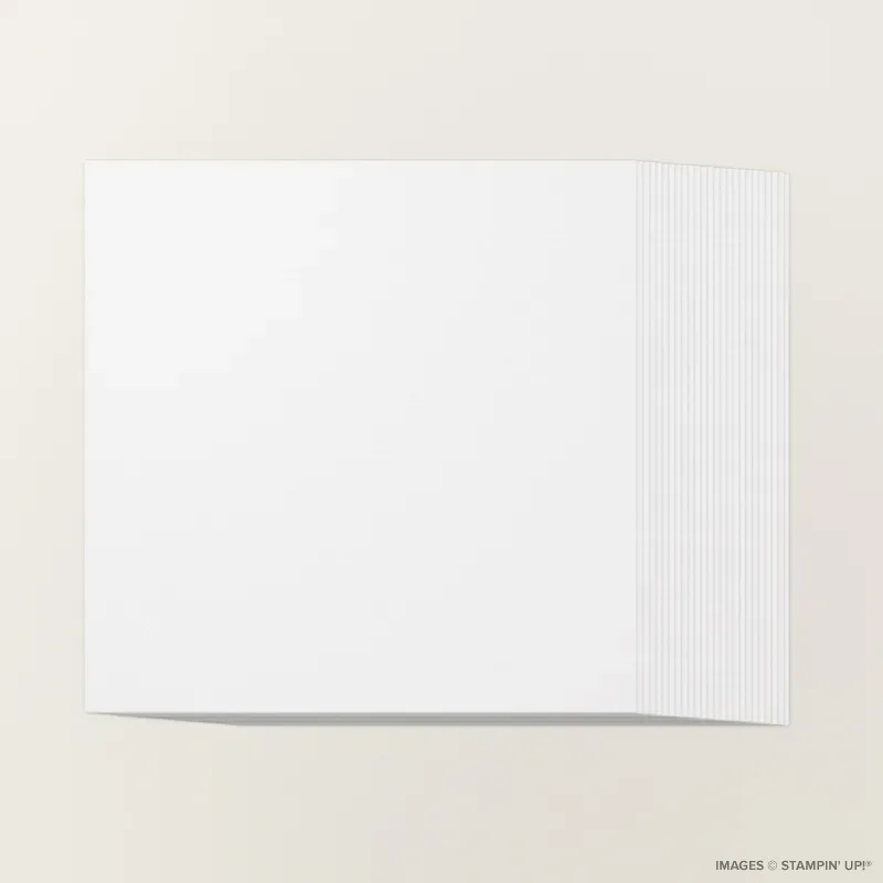 White Willow 12" x 12" Cardstock