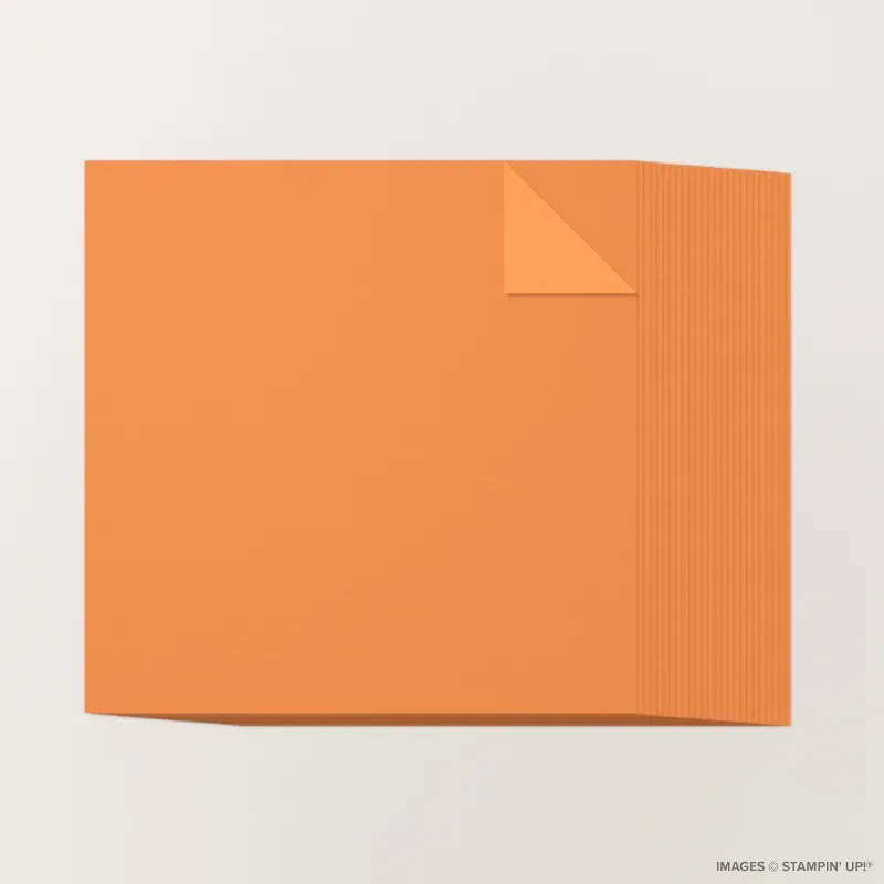 Timid Tiger 12" x 12" Two-Tone Cardstock