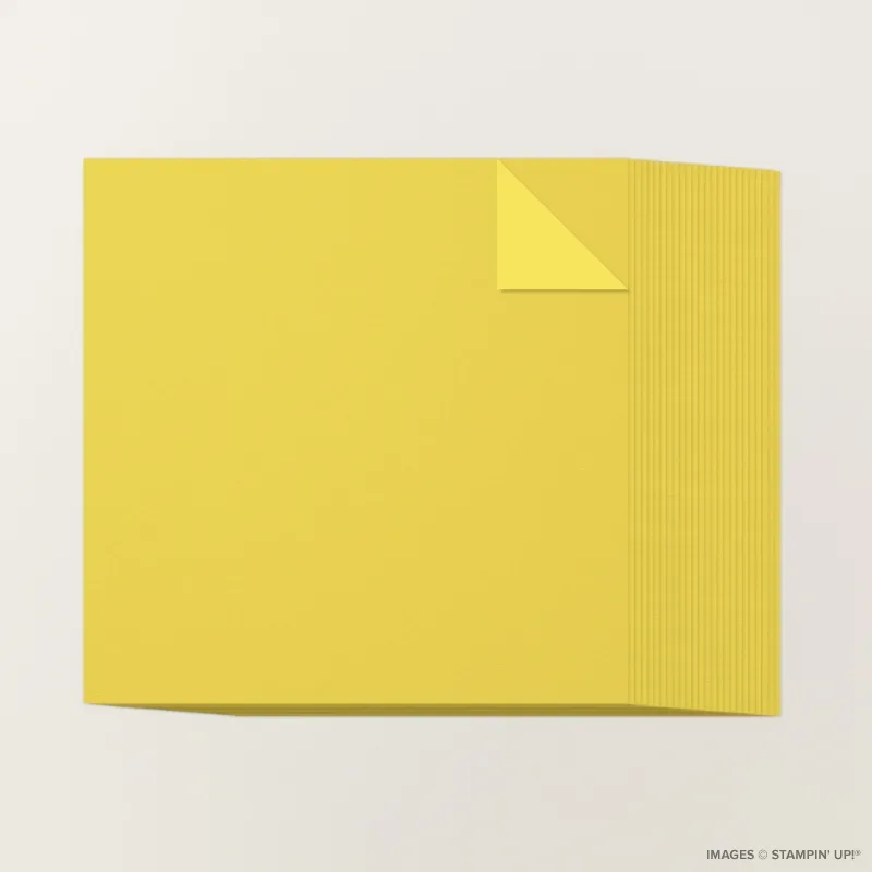 Darling Duckling 12" x 12" Two-Tone Cardstock