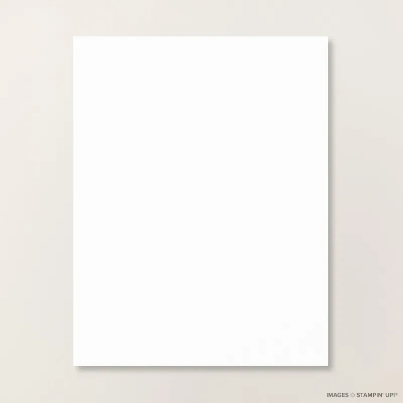 Basic White 8 1/2" x 11" Cardstock
