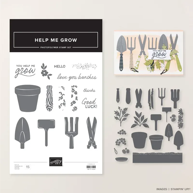 Help Me Grow Bundle (English)