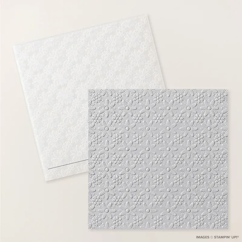 Lazy Daisy 3D Embossing Folder