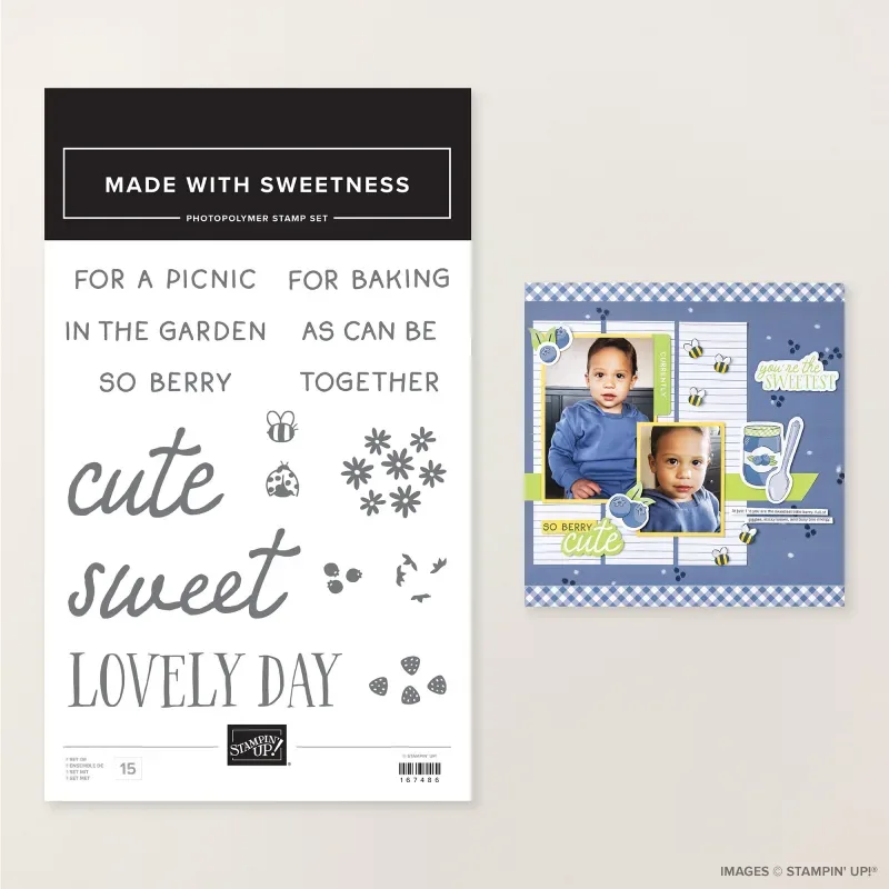 Made with Sweetness Photopolymer Stamp Set (English)