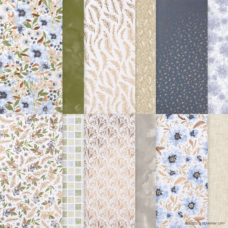Delicate Dreams 12" x 12" Specialty Designer Series Paper
