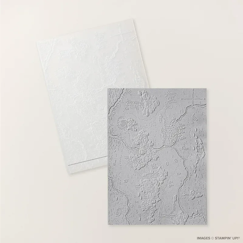 Hundred Acre Woods 3D Embossing Folder