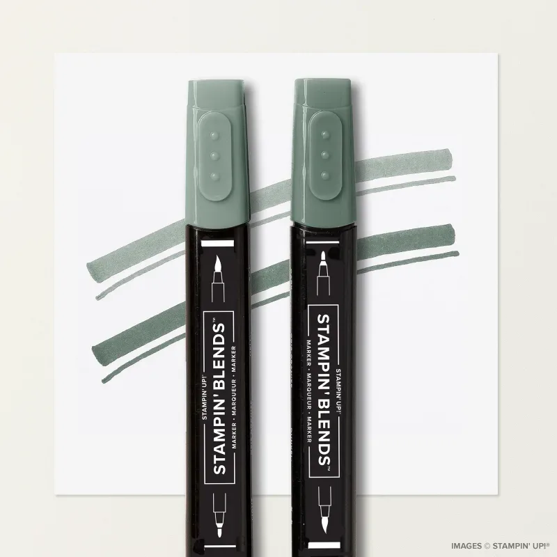 Peaceful Pine Stampin’ Blends Combo Pack