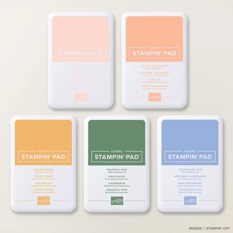 2026–2028 In Color Classic Stampin' Pads