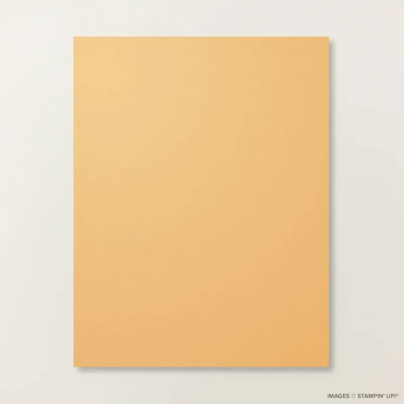 Golden Glow 8 1/2" x 11" Cardstock