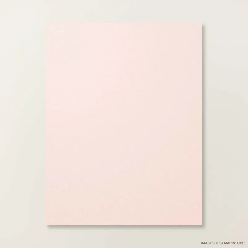 Barely Blush 8 1/2" x 11" Cardstock