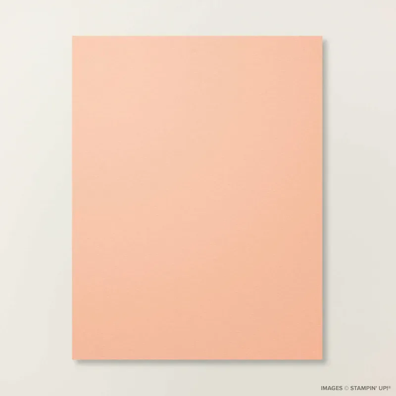 Crisp Cantaloupe 8 1/2" x 11" Cardstock