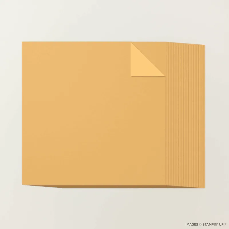 Golden Glow 12" x 12" Two-Tone Cardstock