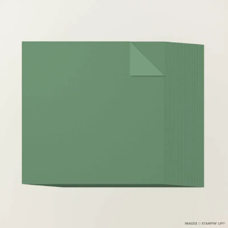 Peaceful Pine 12" x 12" Two-Tone Cardstock