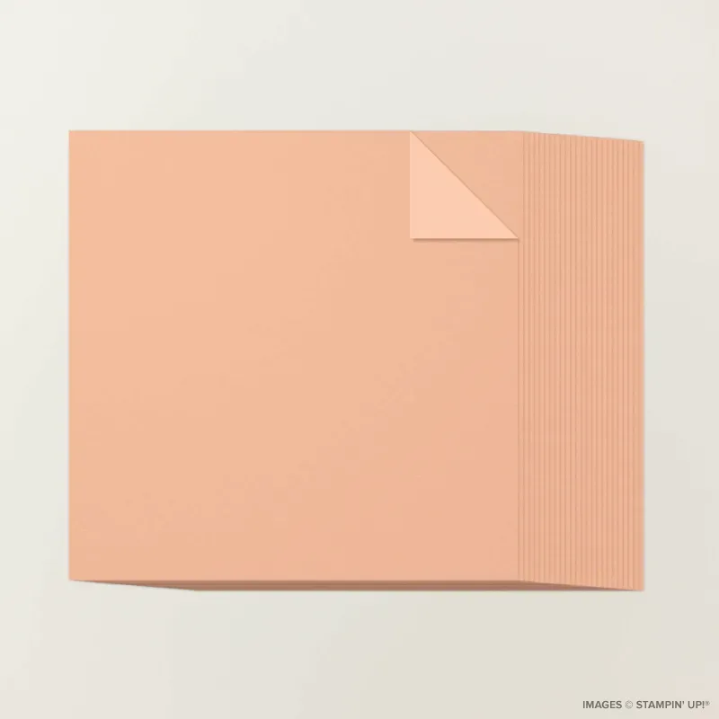 Crisp Cantaloupe 12" x 12" Two-Tone Cardstock