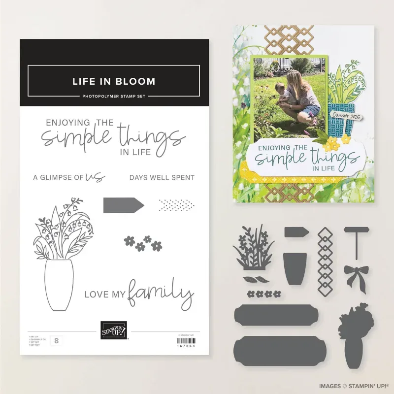 Life in Bloom Bundle (English)